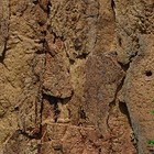 Пробковое покрытие  Ruscork Decorative cork wall PB-W Хорта (Horta)